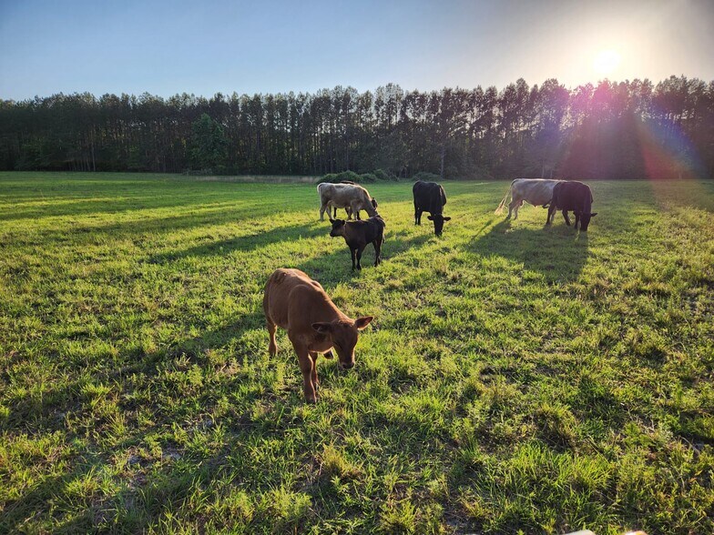 More Photos Of 6939 SW 1 Federal Rd, Lamont Land For Sale