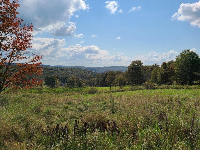 More Photos Of 356 Gabel Rd, Callicoon Land For Sale