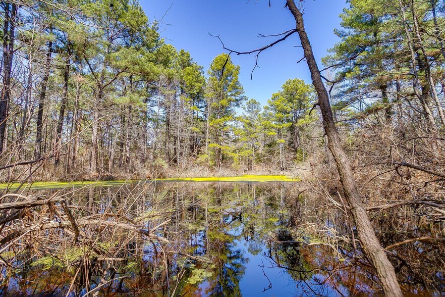 More Photos Of 439 County Road 3190, Winnsboro Land For Sale