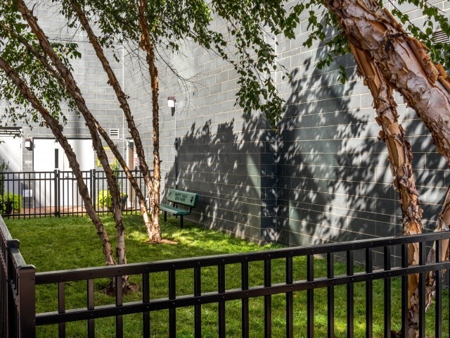 More Photos Of 8710 Cameron St, Silver Spring Apartments For Lease