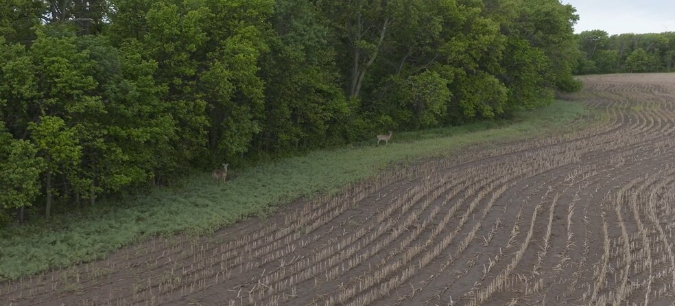 More Photos Of 223 KS-14, Lincoln Land For Sale