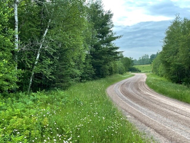 More Photos Of Hogsback Road, Exeland Land For Sale