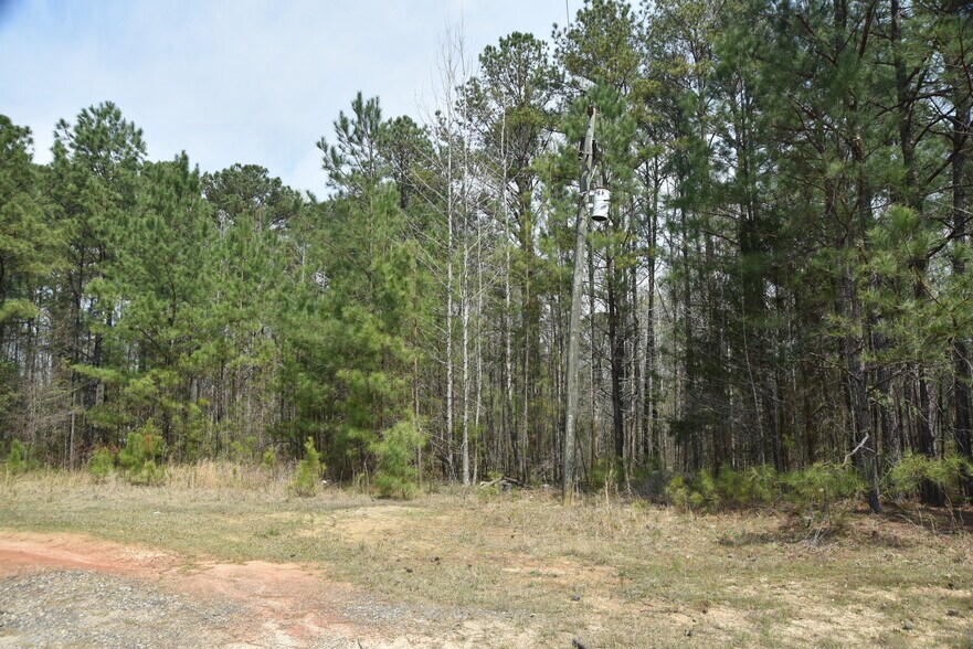 More Photos Of Warm Springs Rd @ GA-208, Waverly Hall Land For Sale