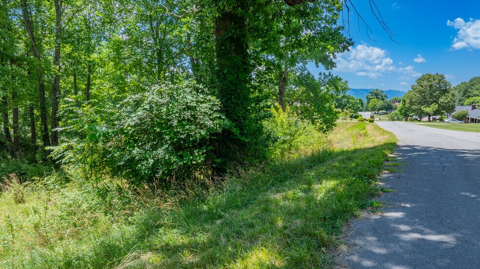 More Photos Of 199 Stuffle St, Kingsport Land For Sale
