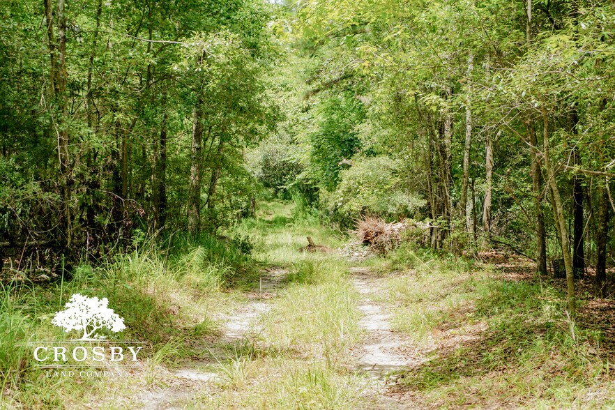 More Photos Of 3009 Lowcountry Drive, Ridgeland Land For Sale