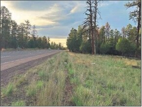 More Photos Of 4900 Arizona 260, Lakeside Land For Sale