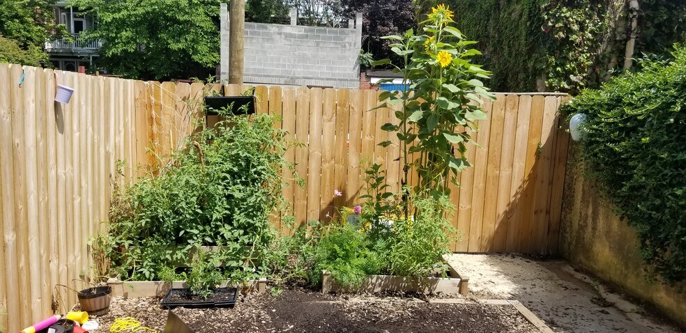 More Photos Of 2635 N Calvert St, Baltimore Apartments For Sale