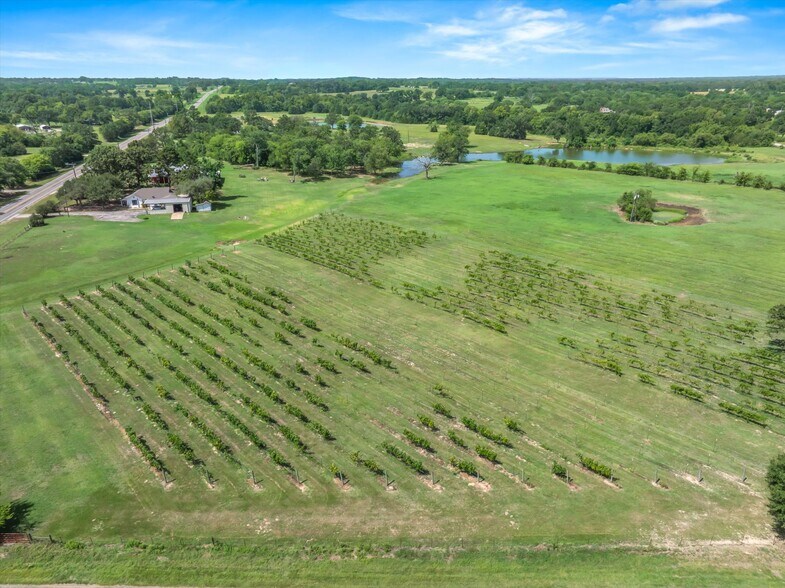 More Photos Of 5518 State Highway 198, Canton Winery Vineyard For Sale