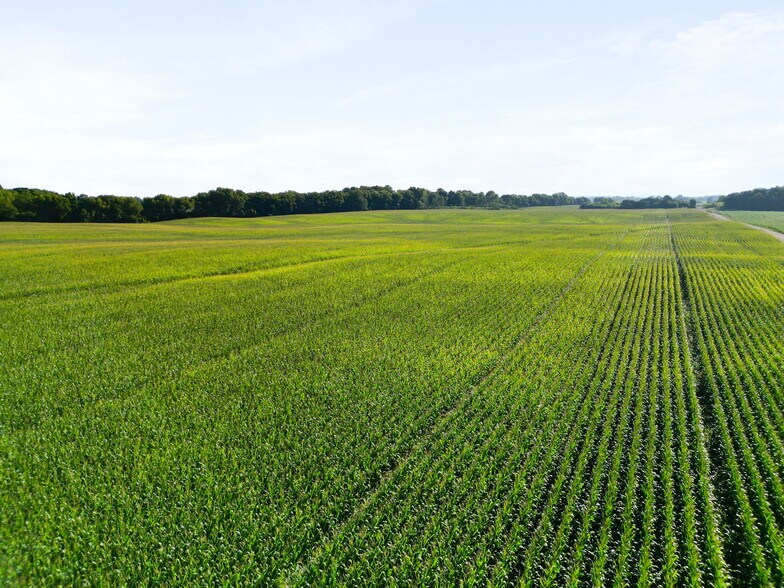 More Photos Of 13155 US Highway 23, Ashville Land For Sale