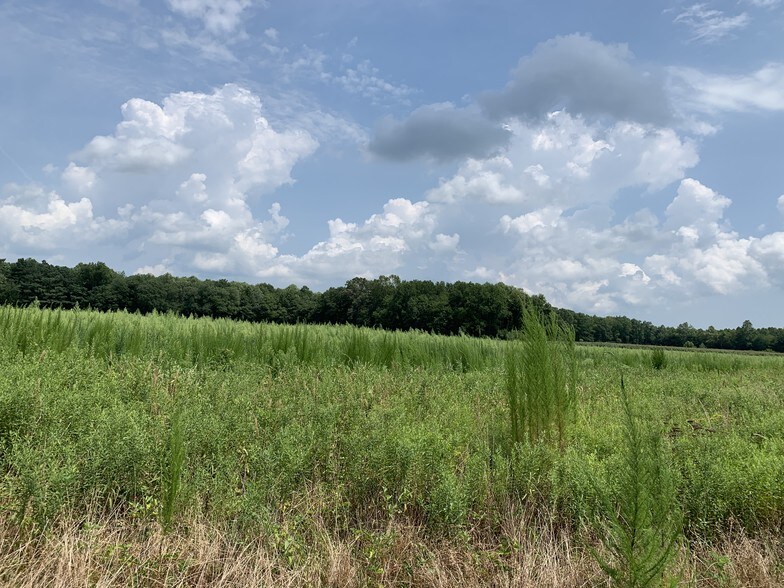 More Photos Of 11529 Longridge Ln, Whaleyville Land For Sale