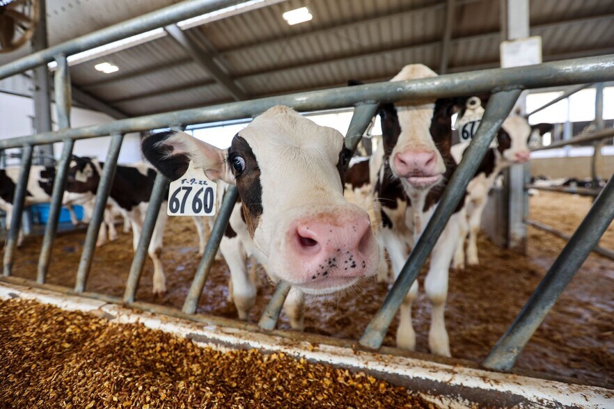 More Photos Of 8845 Rickreall Rd, Rickreall Land For Sale