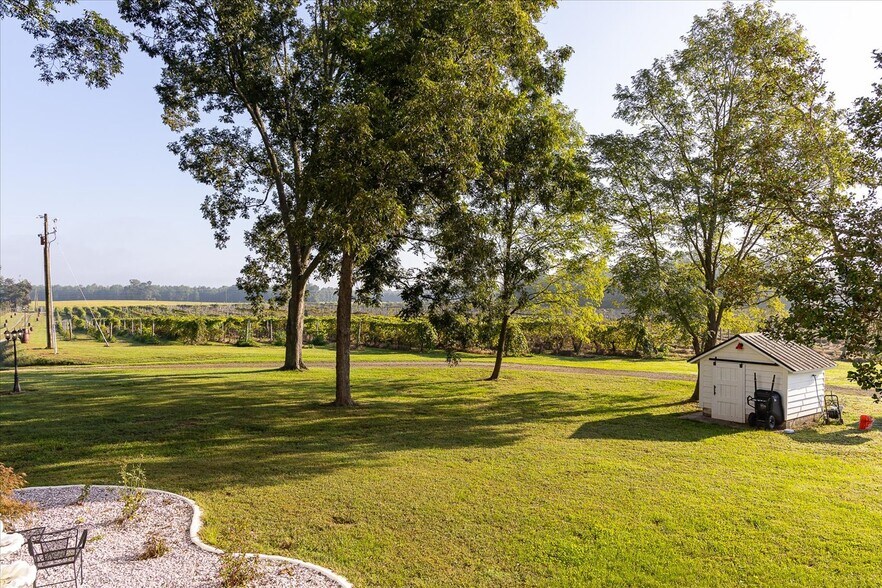 More Photos Of 667 Hustle Rd, Hustle Winery Vineyard For Sale