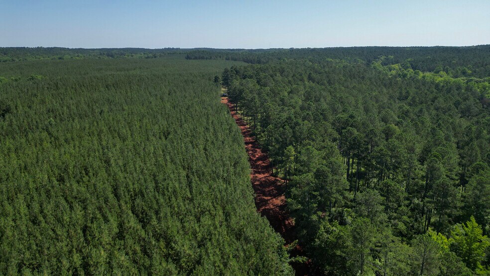 More Photos Of NPA, Abbeville Land For Sale