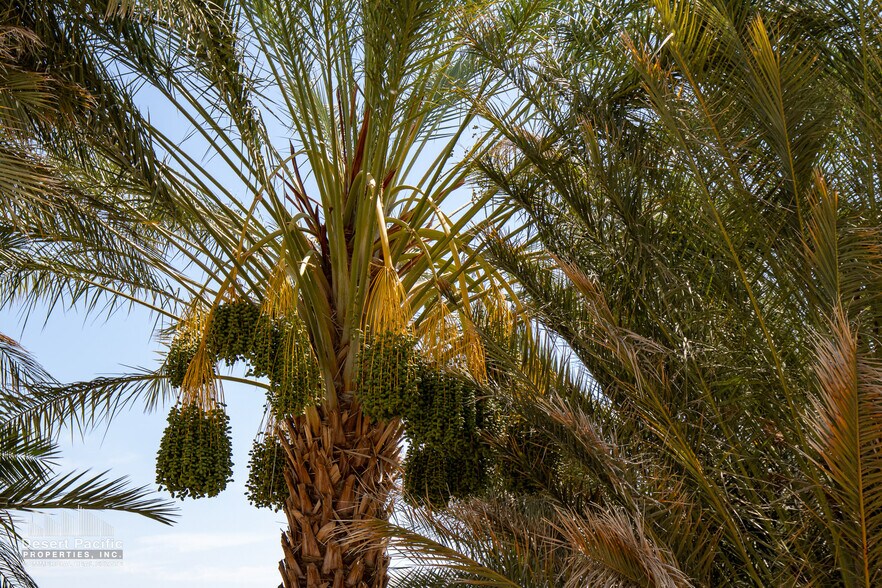 More Photos Of ,  Land For Sale