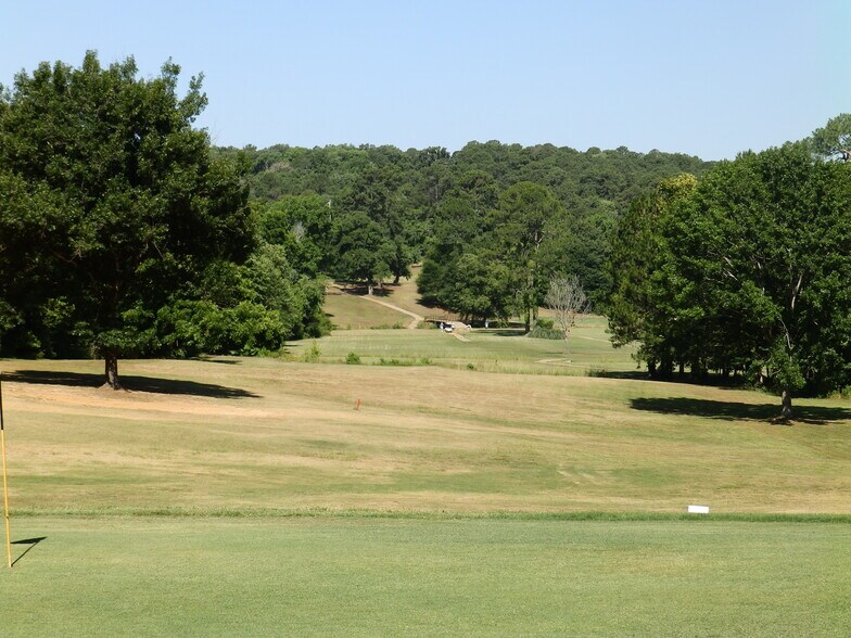 More Photos Of 2330 Country Club Rd, Palestine Land For Sale