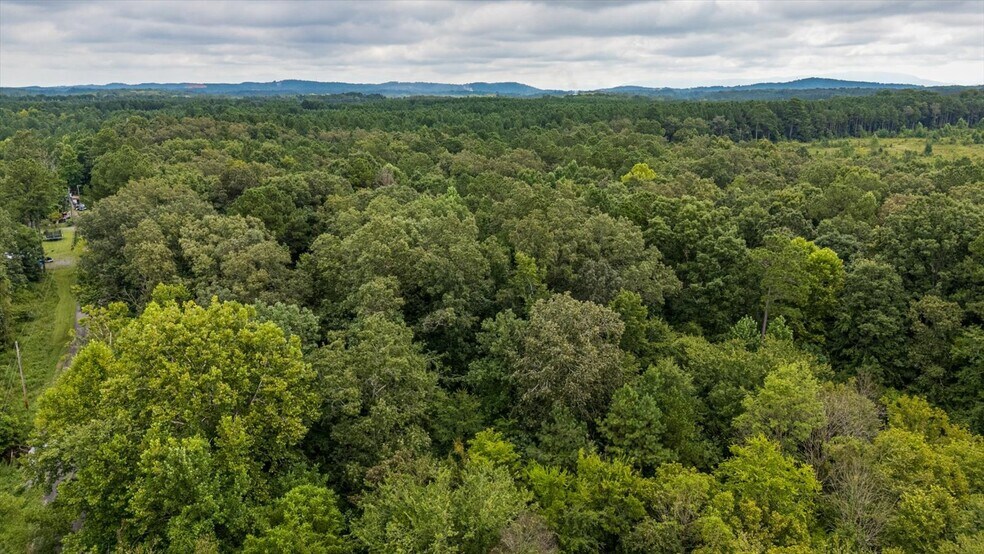 More Photos Of 0 Poindexter SE Dr, Cleveland Land For Sale