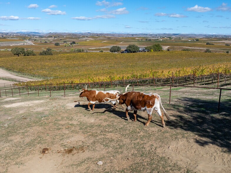 More Photos Of 7790 Airport Rd, Paso Robles Land For Sale