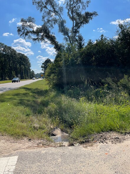 More Photos Of 7425 Highway 119 S, Ellabell Land For Sale