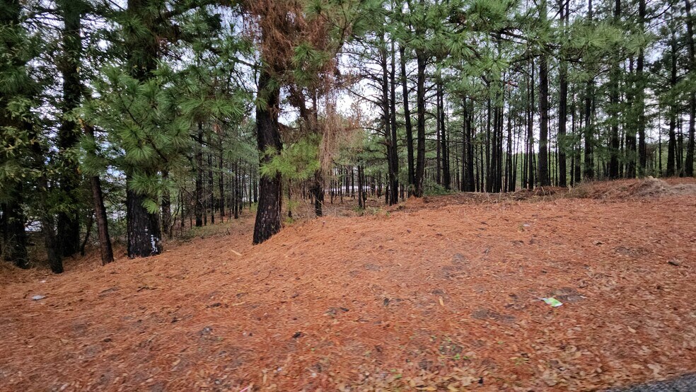 More Photos Of 4315 Chandler Hwy, Tyler Land For Sale