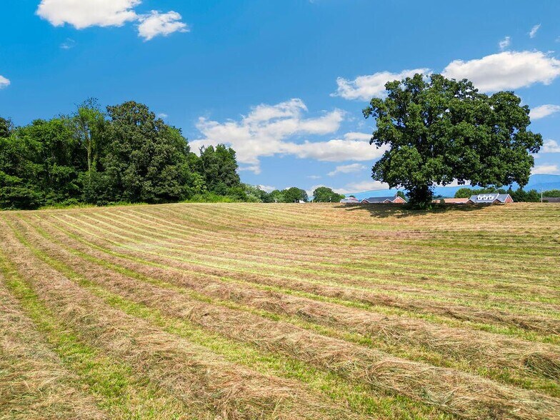 More Photos Of East Andrew Johnson Highway, Greeneville Land For Sale