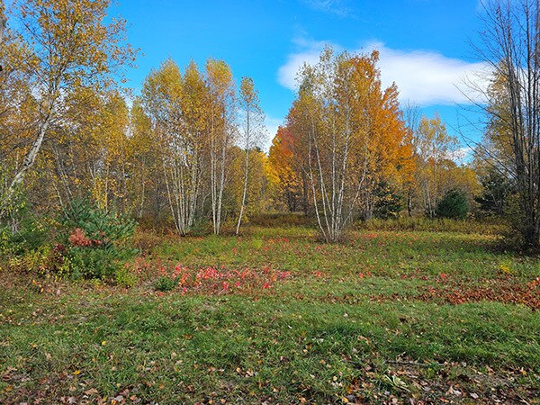 Primary Photo Of 0 Racine Rd, Milton Land For Sale