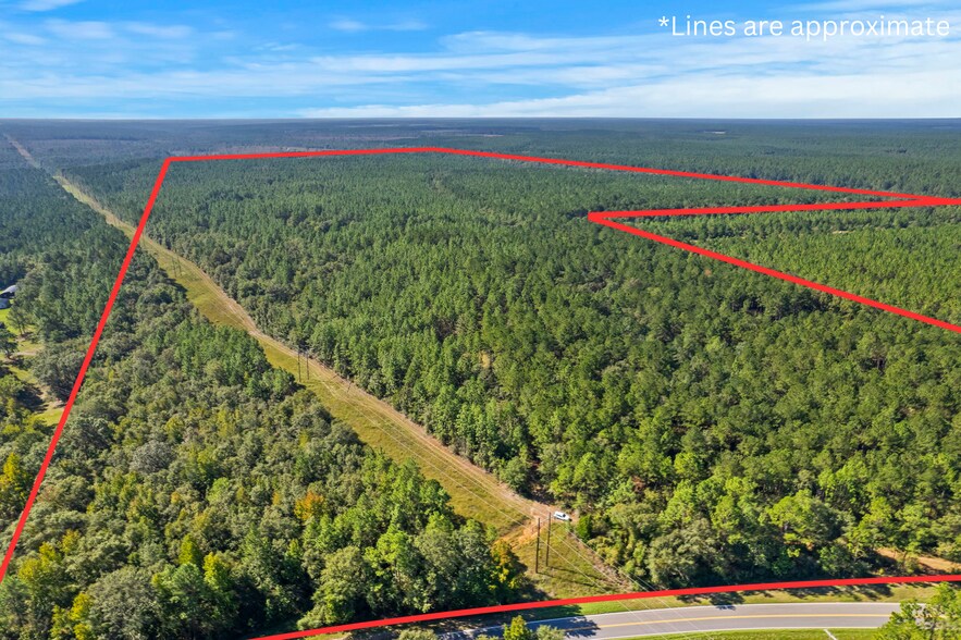 More Photos Of 0 Nokomis Road, Walnut Hill Land For Sale