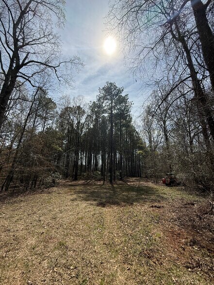 More Photos Of Sugar Creek Trail, Buckhead Morgan Land For Sale