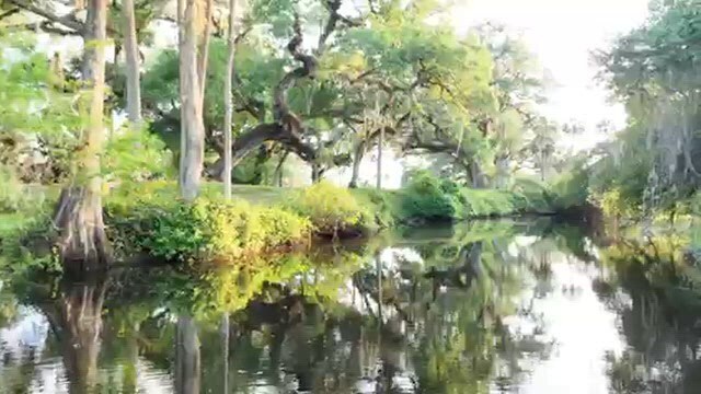 More Photos Of 15871 N River Rd, Alva Land For Sale