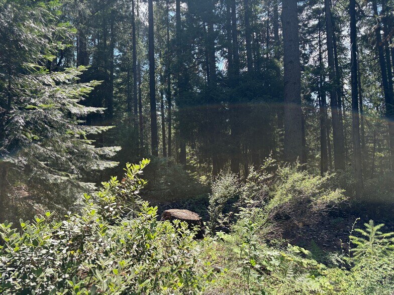More Photos Of Castle Creek Rd, Mount Shasta Land For Sale