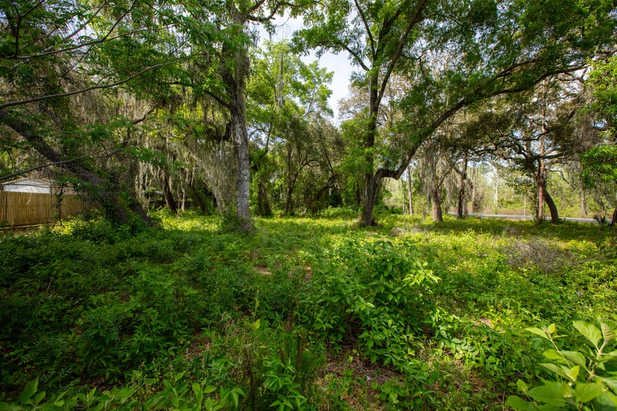 More Photos Of 8786 & 8782 State Road 21, Melrose Light Manufacturing For Sale