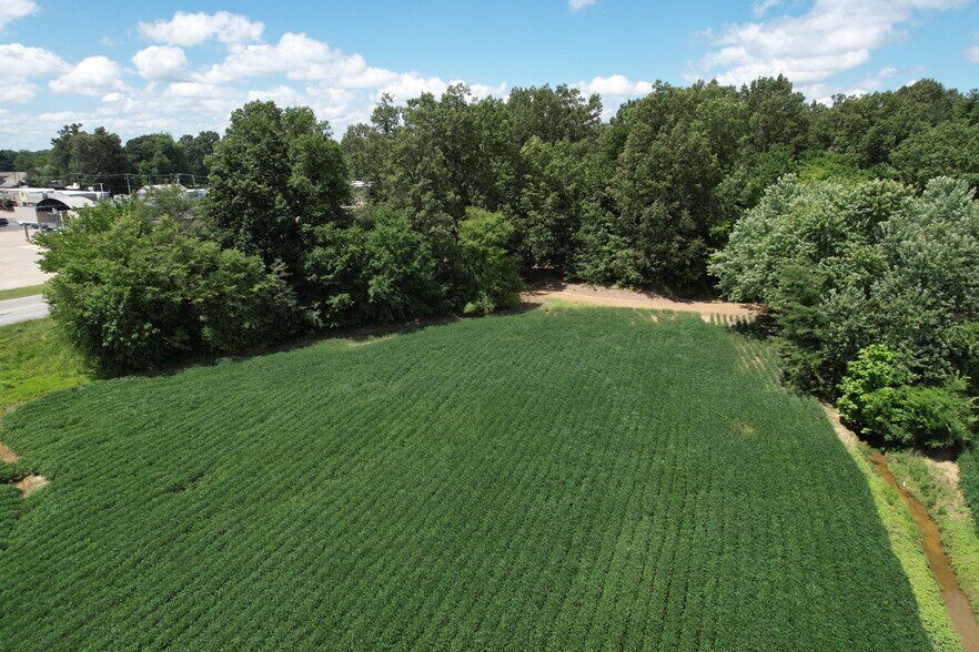 More Photos Of 0 E 12th St, Metropolis Land For Sale