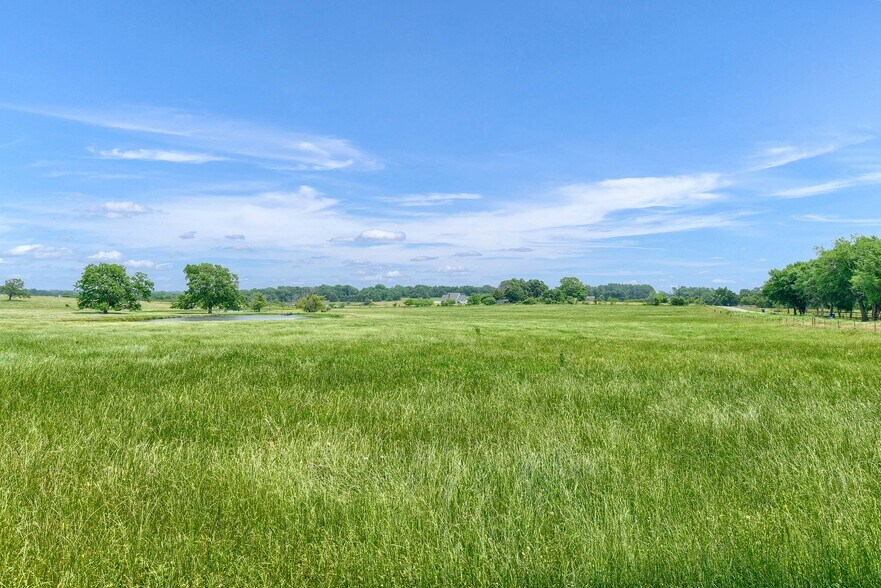 More Photos Of TBD Bones Chapel Rd, Whitesboro Land For Sale