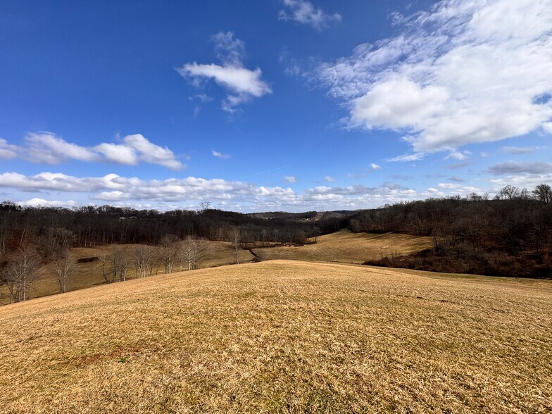 More Photos Of 15 GLECOE Rd, Dellroy Land For Sale