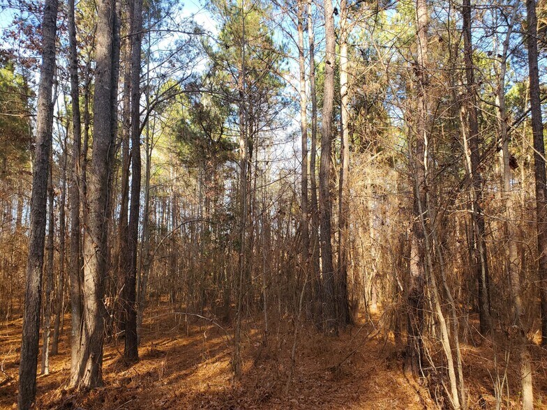 More Photos Of 00 Martin Pond, Wendell Land For Sale