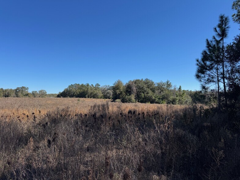 More Photos Of 15000 Block Florida 45, Archer Land For Sale