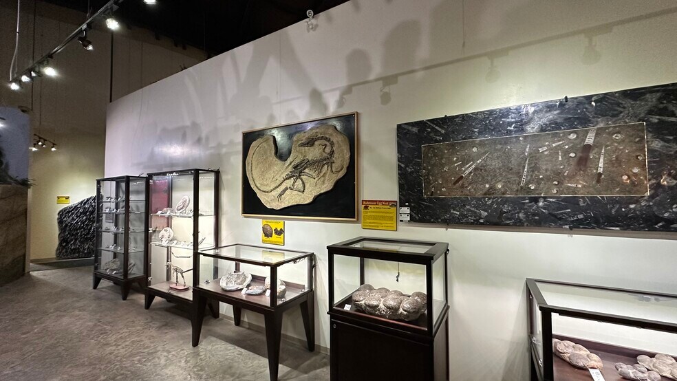 More Photos Of 1381 Dinosaur trail, Drumheller Storefront For Sale