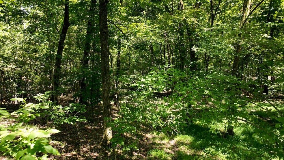 More Photos Of 8843 Highway 70, Arlington Land For Sale