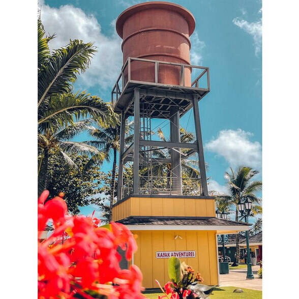 More Photos Of 4-484 Kuhio Hwy, Kapaa Unknown For Lease