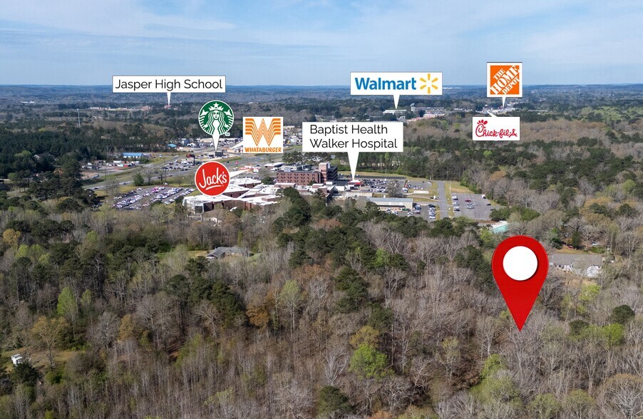 More Photos Of 358 Blackwell Dairy Rd, Jasper Land For Sale