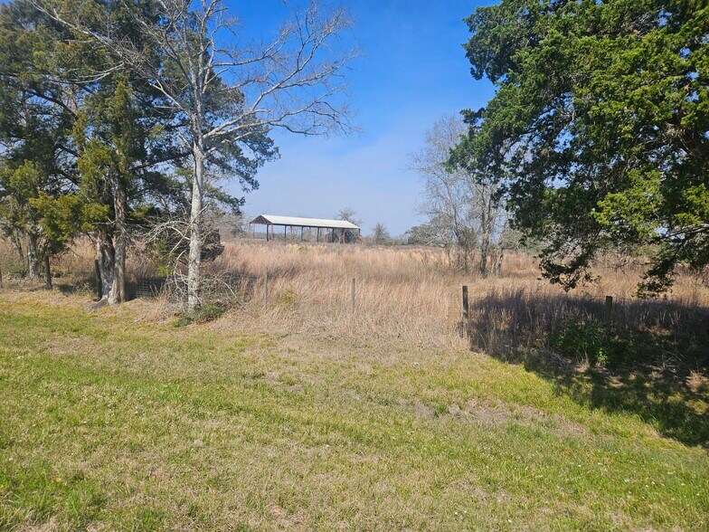 Primary Photo Of 29929 FM 1301 Rd, West Columbia Land For Sale