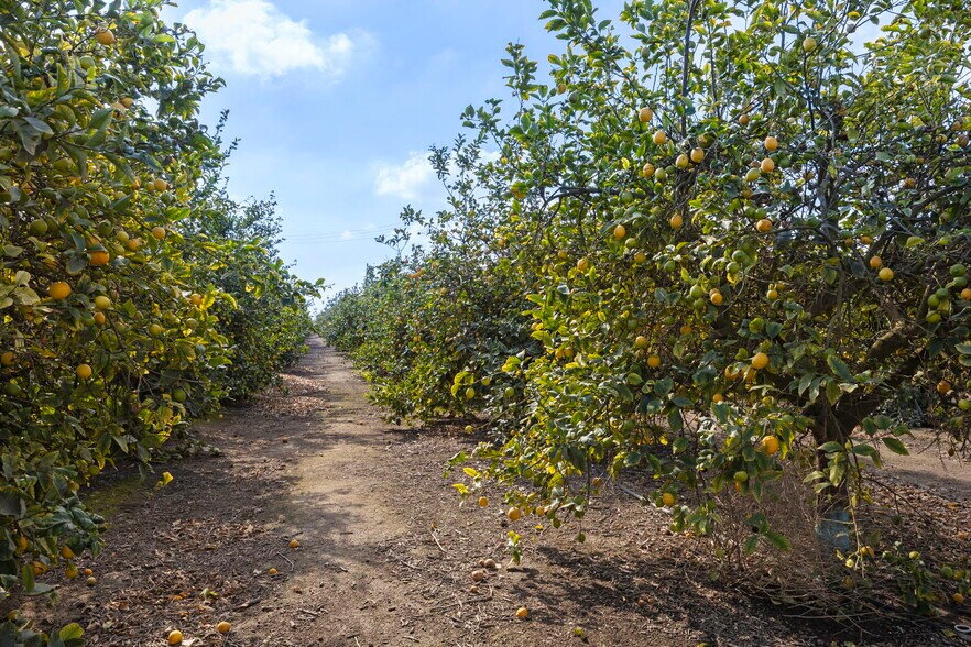 More Photos Of 0 Laguna Rd., Oxnard Land For Sale