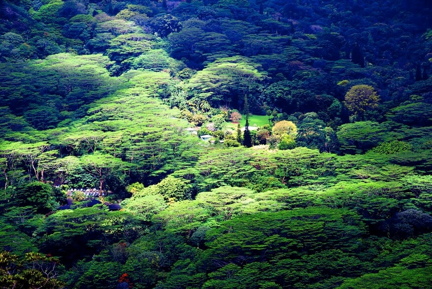 More Photos Of 3737 Manoa Rd, Honolulu Land For Sale