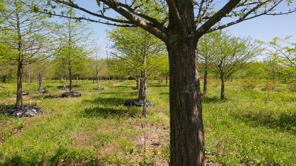 More Photos Of 500 Tree Farm Rd, Garvin Land For Sale