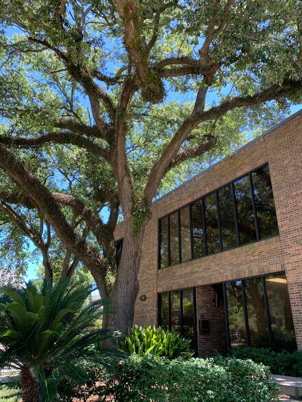 More Photos Of 100 Rue Iberville, Lafayette Office For Lease