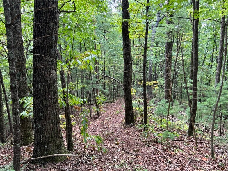 More Photos Of Whitecliff Drive, Ellijay Land For Sale