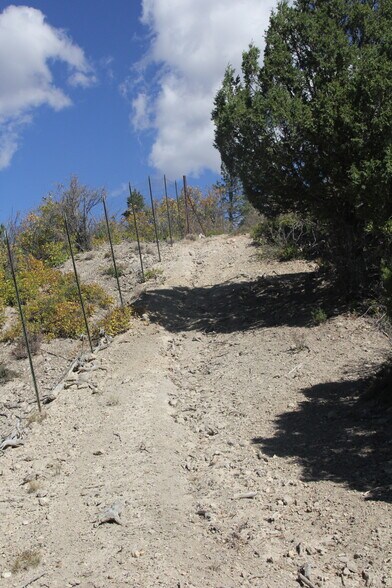 More Photos Of 20.22 acres, Alton Land For Sale