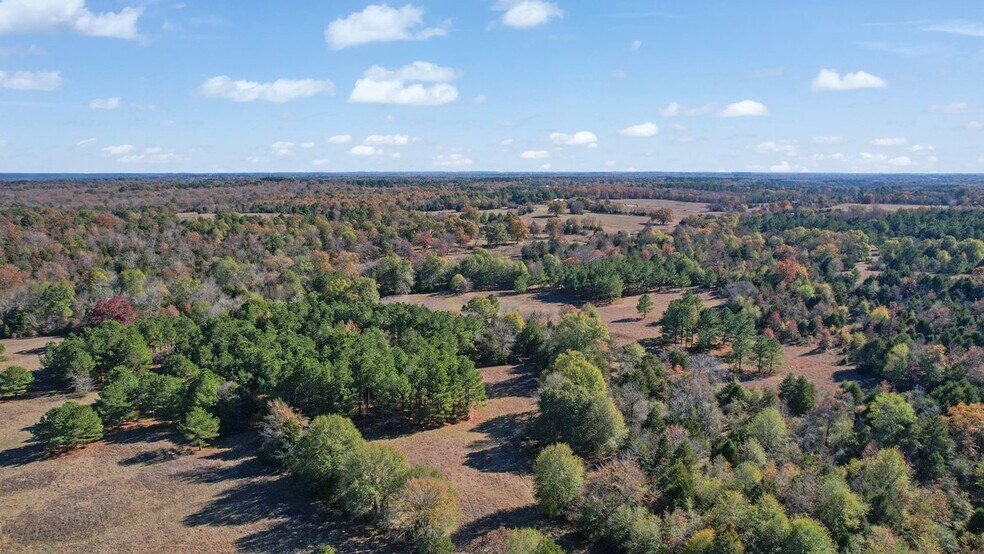 More Photos Of 190202 N 4130 Rd, Antlers Land For Sale