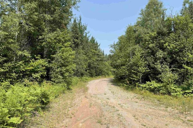 More Photos Of 26497 US-41, Covington Flex For Sale