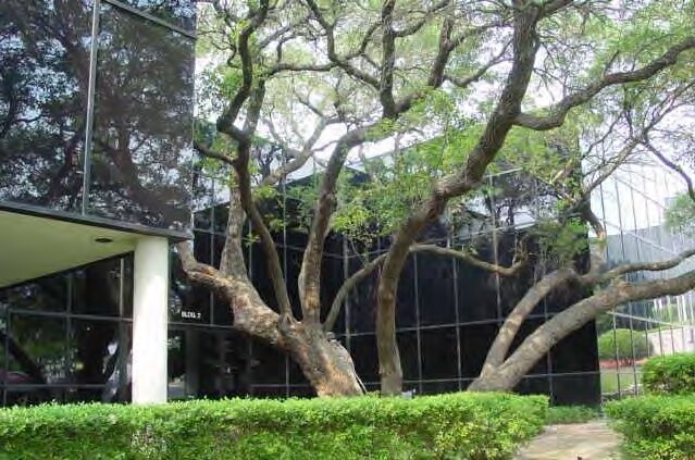 More Photos Of 8140 MoPac Expy N, Austin Office For Lease