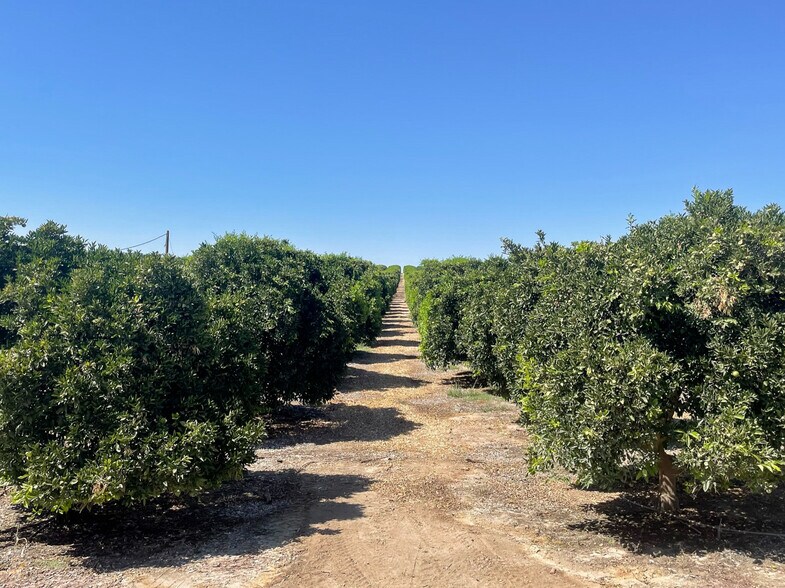 More Photos Of Famoso Rd., Bakersfield Land For Sale
